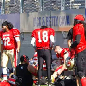 Meet your Posher, Donald